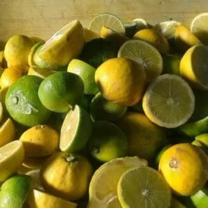Agropic - Succo di Bergamotto Calabrese