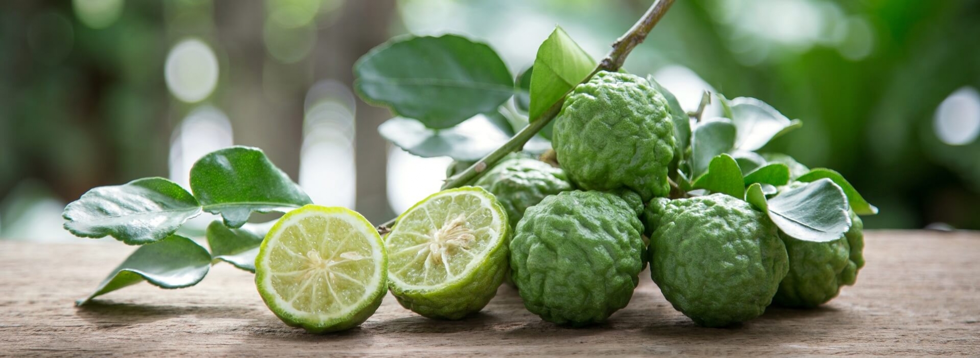 Agro Pic - Succo di Bergamotto e Prodotti Tipici Calabresi