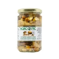 funghi misti con porcini sott'olio